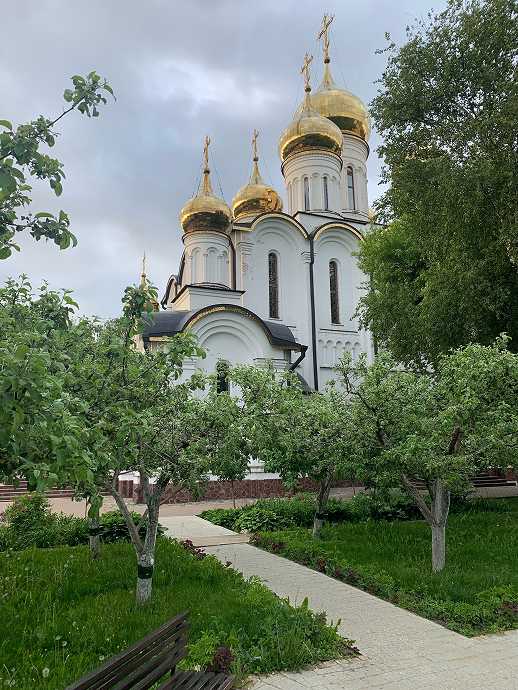 Свято-Алексиевская Пустынь, встреча с И. П. Костенко